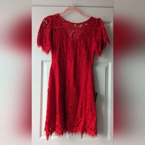Lulu's Vibrant Red Lace Mini Dress